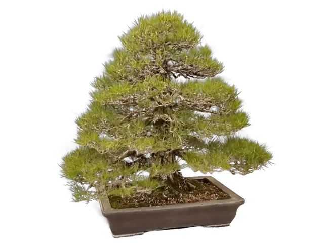 13a6f13f-beae-4653-be56-8e03bf65ce97