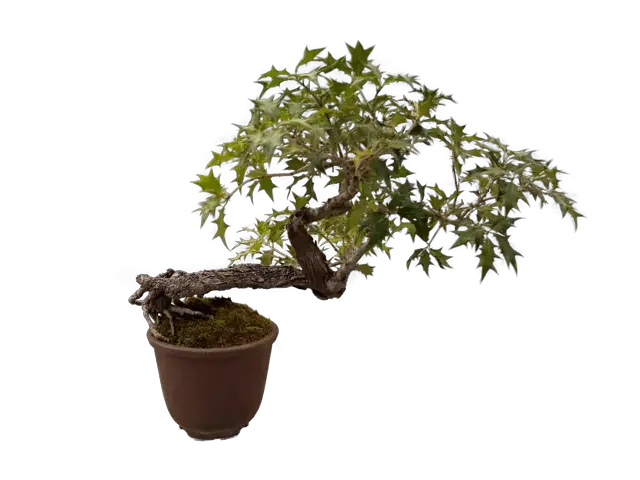 187017e0-c8cd-46a7-9fcb-672729180e67