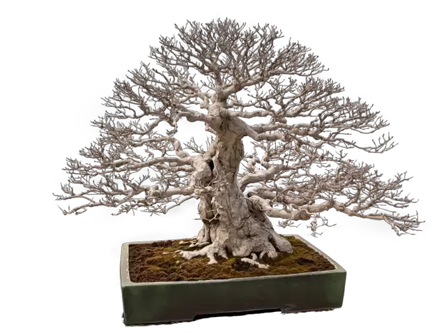 1c42c11a-0acb-495b-854a-3cb185b2c86b