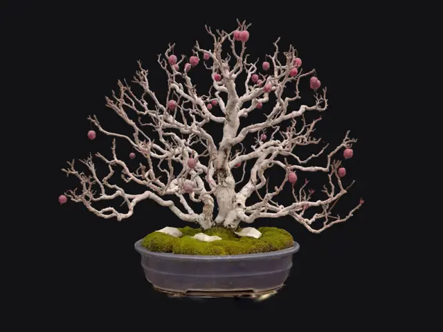 212c665c-8be4-459b-a9f9-f5fe56d83023