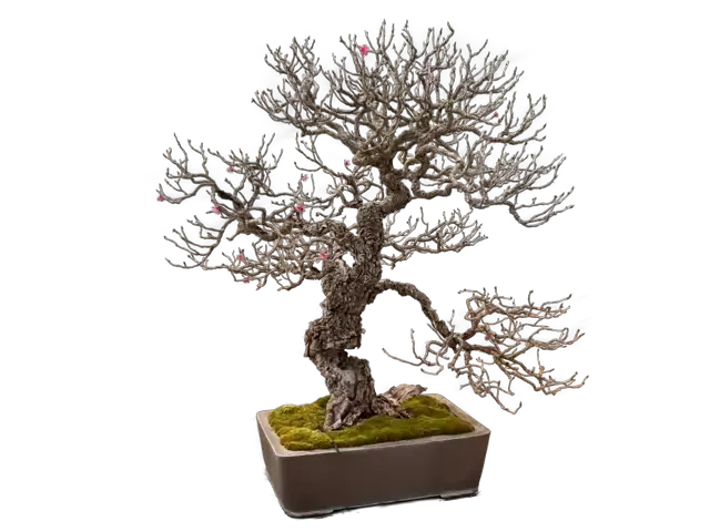 252c4eef-fd3a-4d4b-b040-94b90f8320a4