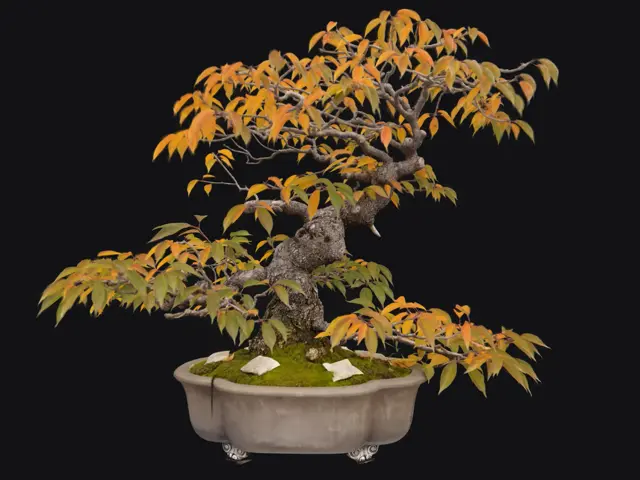 270e0367-4e81-432d-9751-a17508569151