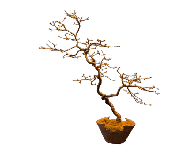 27dcd333-e3aa-4751-8abd-4bf4d6079be7