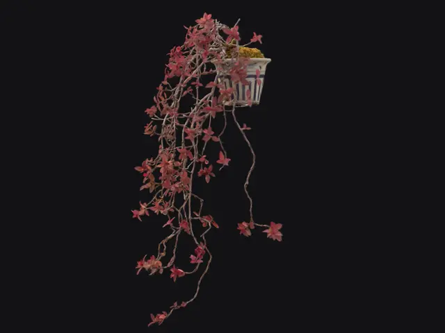 2c23e018-5711-43d6-8cf4-eefa10fbc085