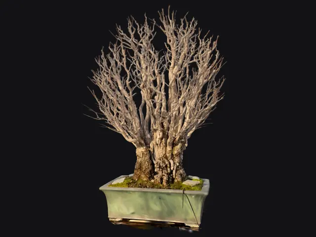 388271f0-76a3-4a91-a362-c069e8b38162