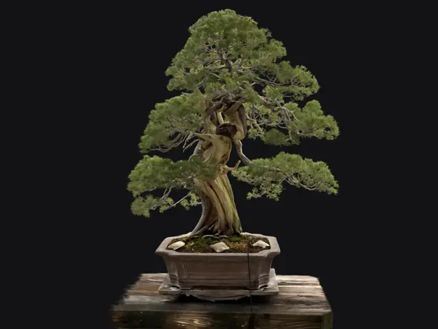 3b127646-fdcf-41a8-a147-9167d164a6a1