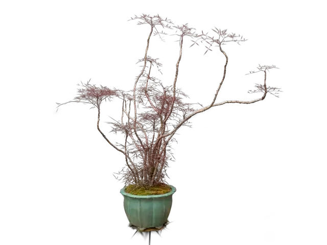 3d34da1f-6715-4f97-9b97-e325f29908ac