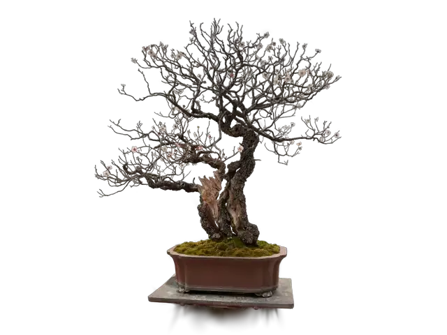 5c8812ec-15ea-448a-b1d8-2c6c239c327c