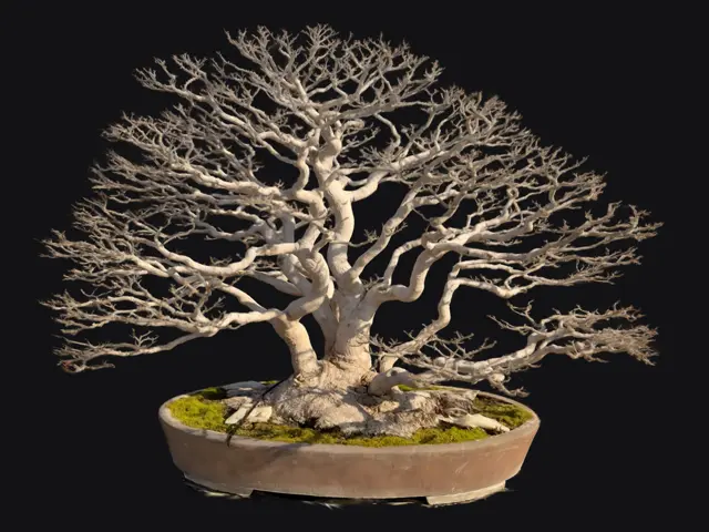 61f30624-7ba6-441f-a904-c72b574c9d91