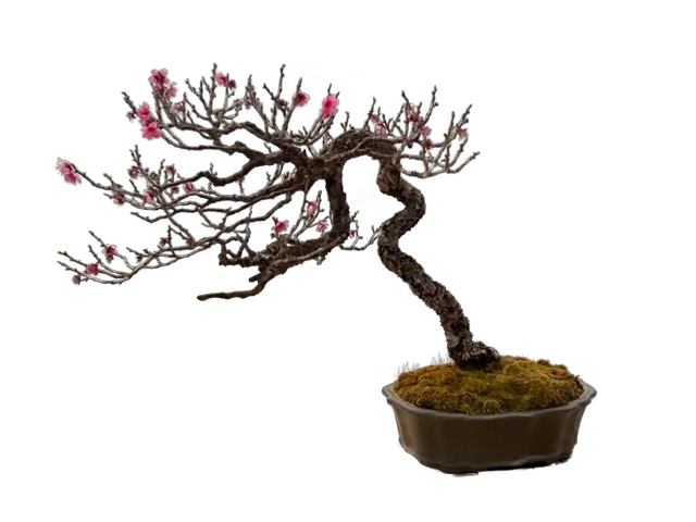 64c5d800-1595-44d7-ac17-bd0533407ba7