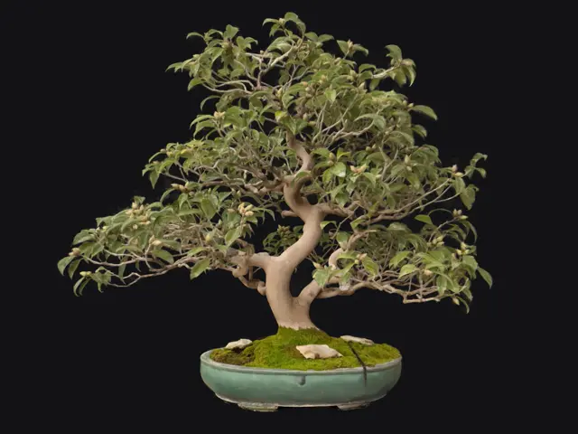 658a4c26-19ce-4a02-920b-d440c5deb6ed