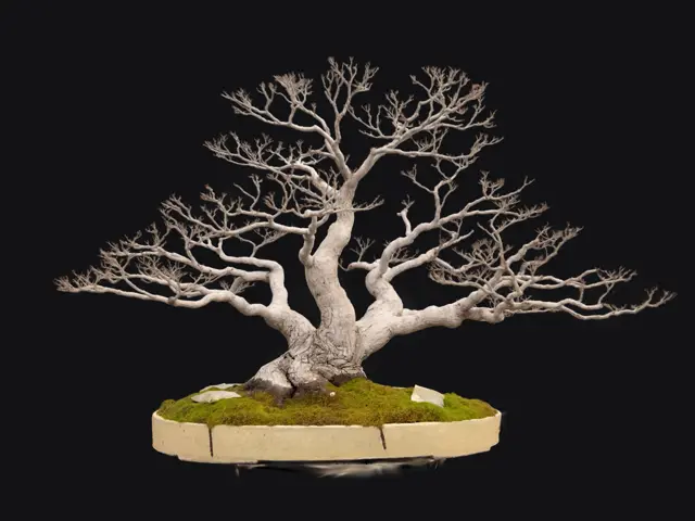 66ebae74-f615-4b7a-83d5-2a86de6179cb