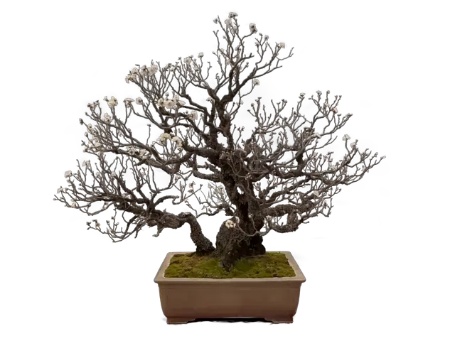 7db004a9-591e-4d39-9205-26ec95370da3