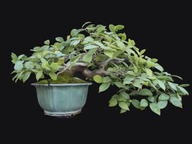 84a4a37a-48a1-40bb-9912-9bbfc884dd53