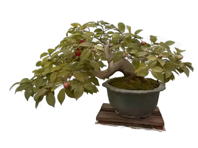 84a4a37a-48a1-40bb-9912-9bbfc884dd53