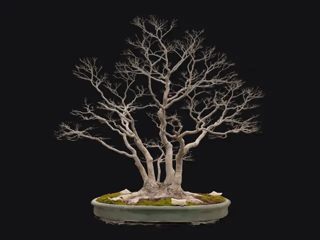 99df9fe5-cd60-43c5-a2e5-53164882534e