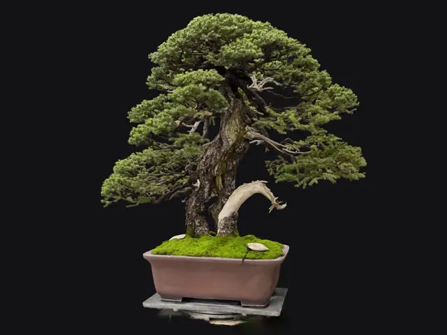 b5e09a1c-f0c3-4d95-9a48-696933f85c22