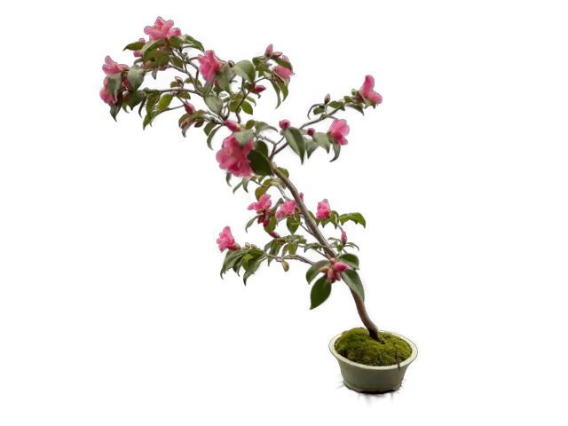 ba7d1ca8-8f4f-47e7-83e1-416493b9022a