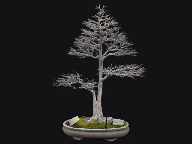 bb0fcec4-02cd-41fb-8b2b-5f20dbe9527e