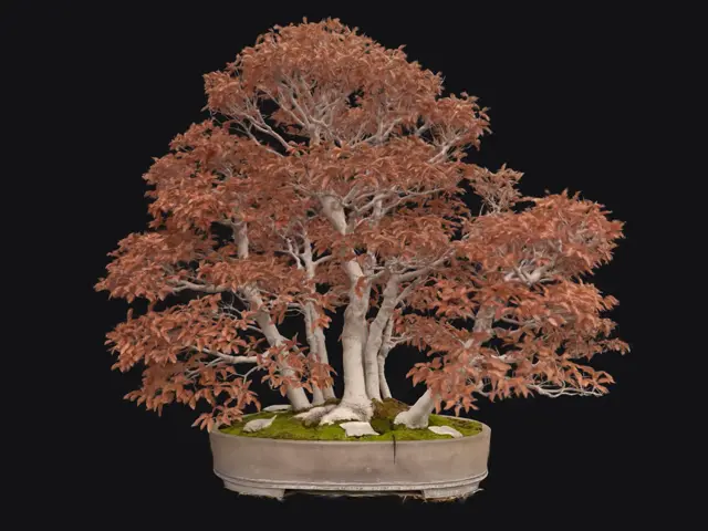 cac7c696-09c9-4fd8-9c01-2f37053a4890