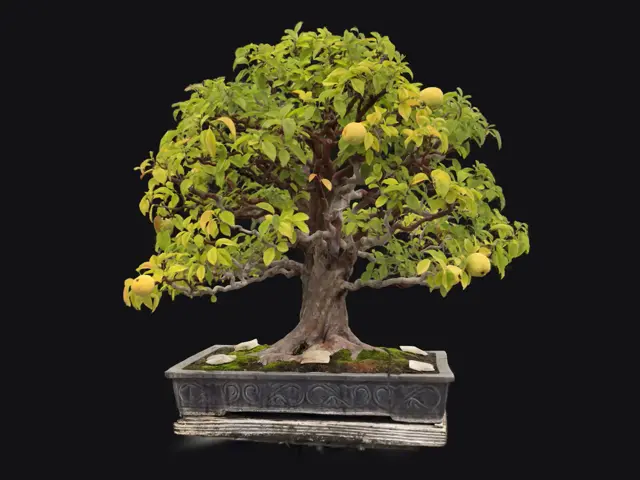 cd4b4d65-d20e-4cdf-a589-e25018cd69dd