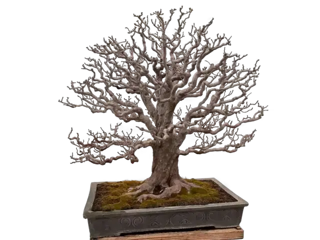 cd4b4d65-d20e-4cdf-a589-e25018cd69dd