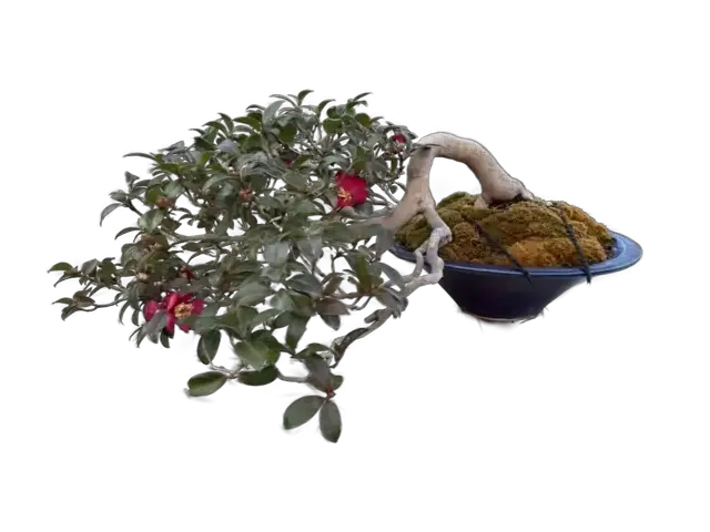 d571d9c9-d18c-48b5-9b13-87949a9bfee2