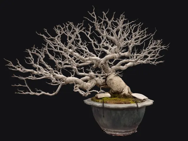 d5dd3579-0ee1-4f4e-beb7-144be924adc0