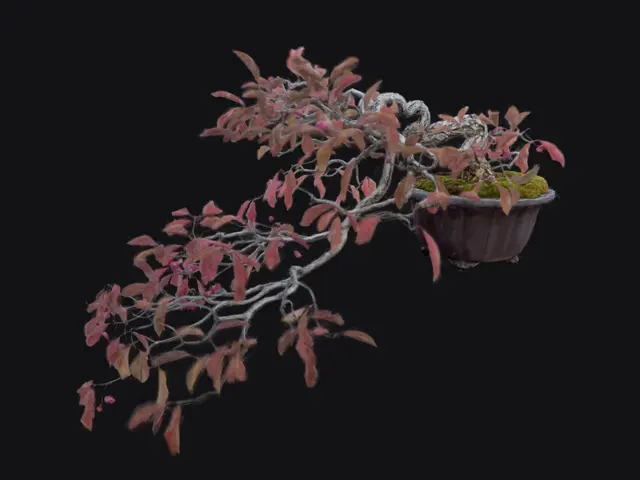 df70b375-7796-4cff-9a99-0eabb61ea740