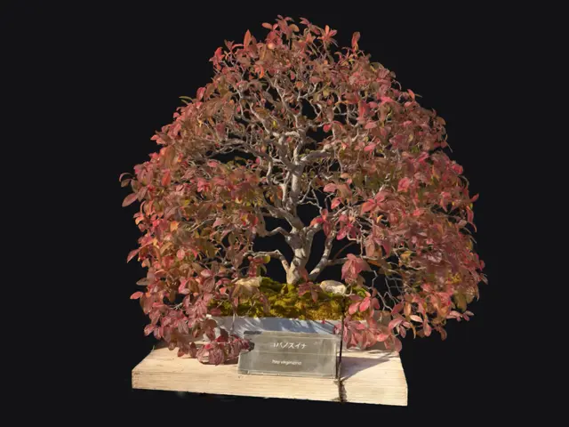 e36d95e5-3c8b-4963-b307-ef7d204f9f04