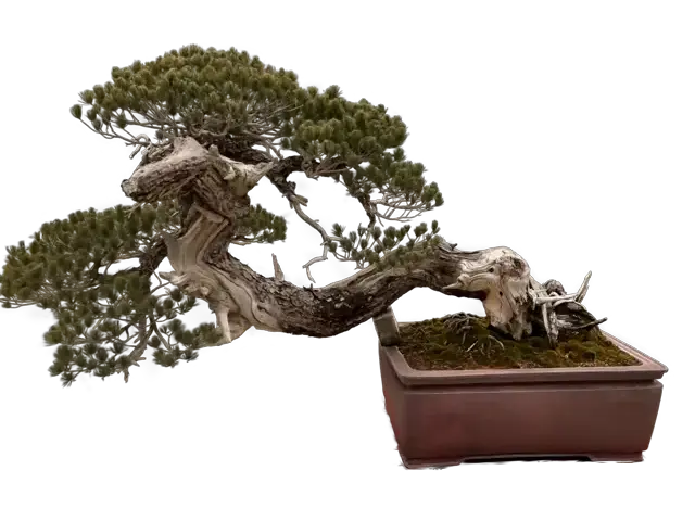 e4757887-8b3e-41cd-b774-b11fbc3d6dc3