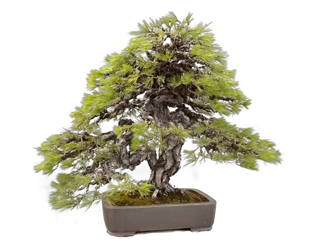 e63eb98f-0616-4b4b-b1b9-b87872f3b9f5