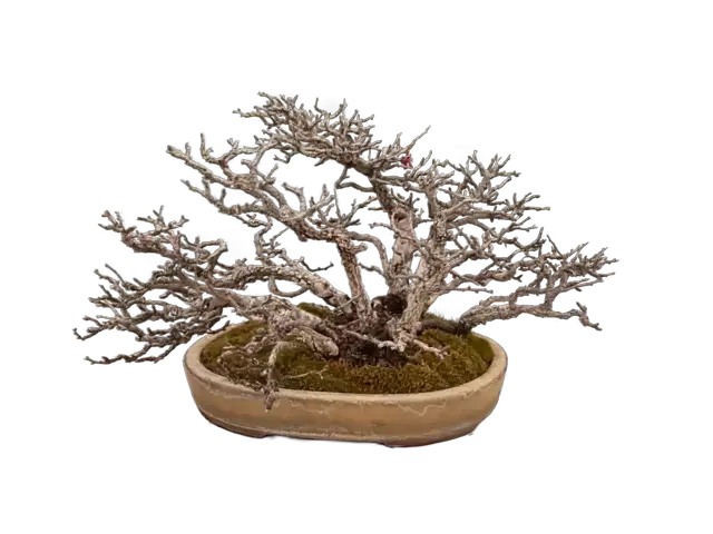 ee359c26-d842-4d62-9771-43c0ee9a9b56