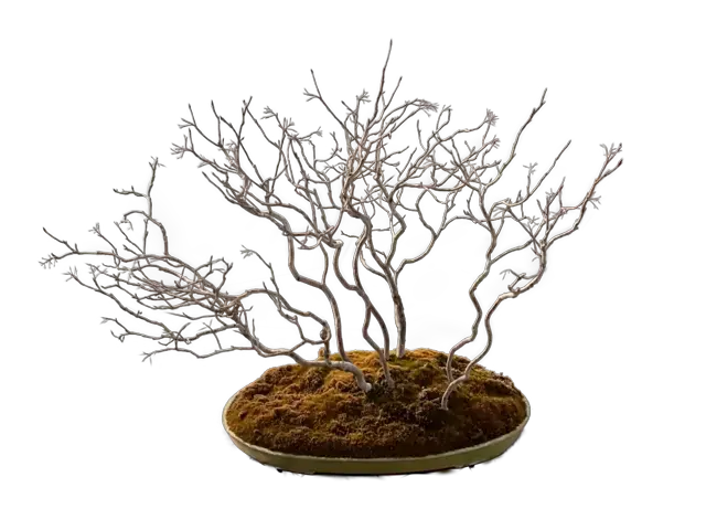 f2d64640-b9b7-4c65-813e-1013487d2231