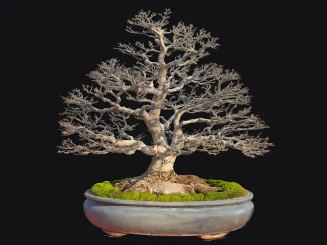 f81d2692-442d-435c-ad87-62f8d558614f