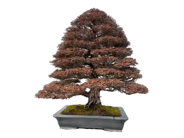 f8784b26-099e-4bb0-b54d-5e0095eec278