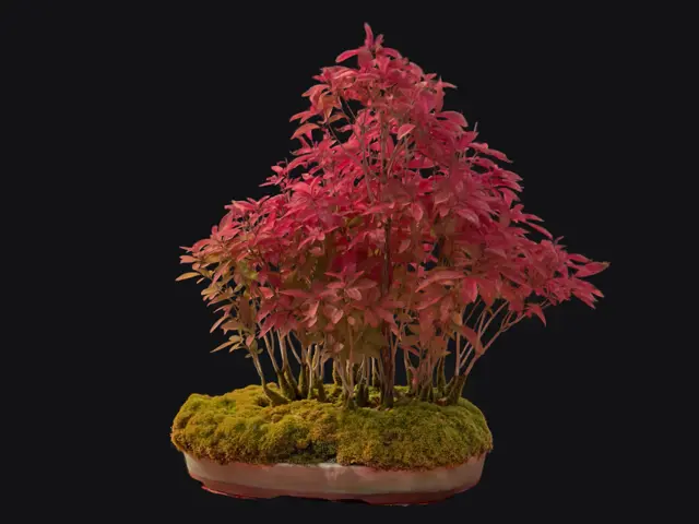 f9b2f652-c1a7-49e5-a30d-d14589b74ec9